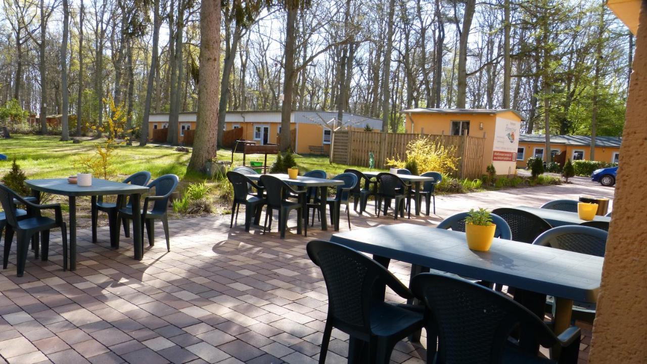 Ferienpark Bernstein Dranske Zewnętrze zdjęcie